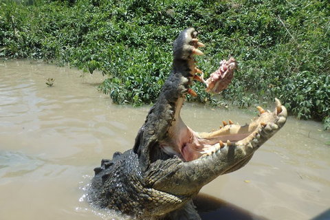 Litchfield And Jumping Crocodiles Full Day Trip From Darwin - Tourism Adelaide 3