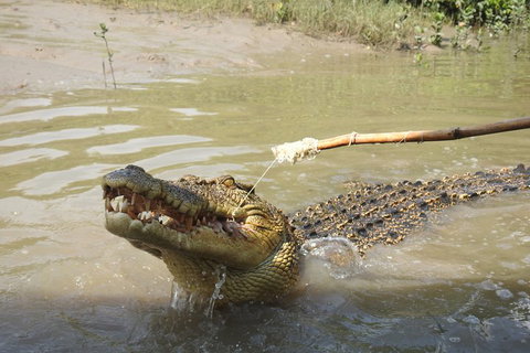 Litchfield And Jumping Crocodiles Full Day Trip From Darwin - Tourism Adelaide 4