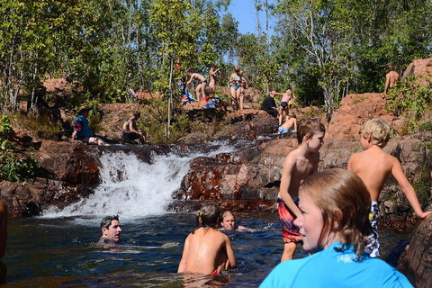 Litchfield And Jumping Crocodiles Full Day Trip From Darwin - Tourism Adelaide 5