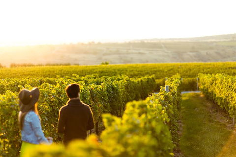 Margaret River Private Tour - Tourism Adelaide 2