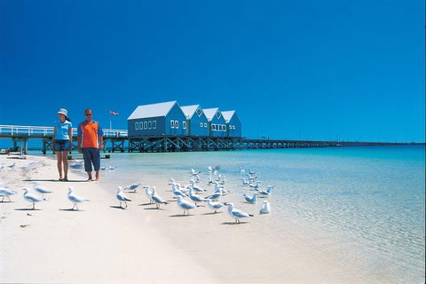 Margaret River And Geographe Bay Region Day Trip From Perth - Tourism Adelaide 0