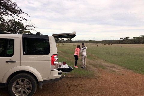 Kangaroo Island 4WD Tour - Flinders Chase - Tourism Adelaide 3