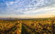 Wine Tours Sydney - Southern Highlands Day Escape, Full Day Wine Tasting Tour - thumb 1