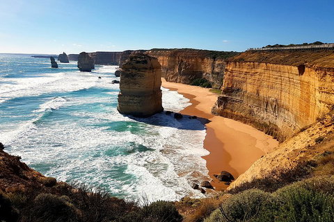 Helicopter Flight + Fine Dining Private Luxury Great Ocean Road Tour - Tourism Adelaide 4