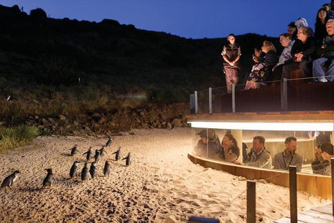 Wilson's Promontory & Phillip Island - 'Prom & Penguins' Tour - Tourism Adelaide 3