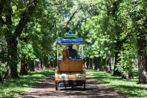 Adelaide 90-Minute Pedicab Tour: Scenic Green & River Experience - Tourism Adelaide 2