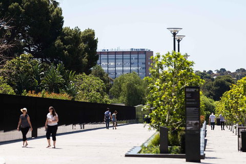 Adelaide 90-Minute Pedicab Tour: Scenic Green & River Experience - Tourism Adelaide 4