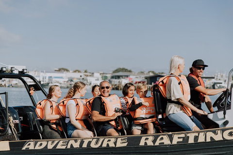 Adventure Whale Watching Tour Mooloolaba - Tourism Adelaide 4
