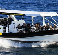 Mooloolaba Whale Watching Tour - Tourism Adelaide
