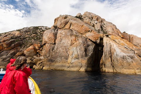 Wilsons Promontory Wilderness Cruise From Tidal River - Tourism Adelaide 3