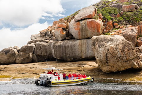 Wilsons Promontory Wilderness Cruise From Tidal River - Tourism Adelaide 4