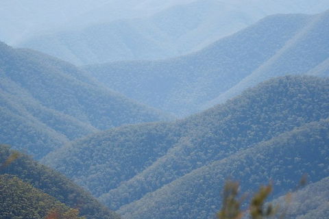From The Mountains To The Bay - 4 Day Rediscovery Private Tour - Tourism Adelaide 1