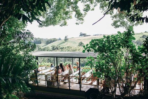 Tropical Fruit World Farm Full Tour - Tourism Adelaide 4