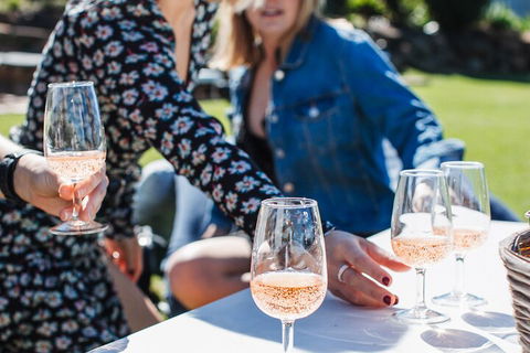 Full-day Wine-Tasting And Tamborine Mountain Tour With Lunch - Tourism Adelaide 1