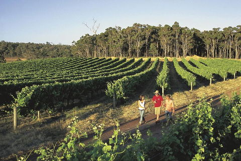 Margaret River, Caves, Wine And Cape Leeuwin Lighthouse Tour From Perth - Tourism Adelaide 1