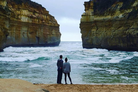 Great Ocean Road Small-Group Ecotour From Melbourne - Tourism Adelaide 1