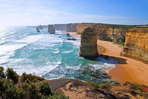 Great Ocean Road Small-Group Ecotour From Melbourne - Tourism Adelaide 2