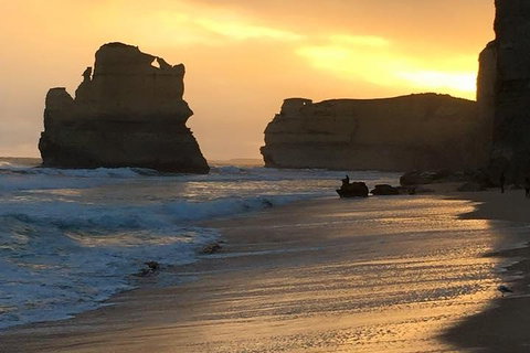 Great Ocean Road Small-Group Ecotour From Melbourne - Tourism Adelaide 5