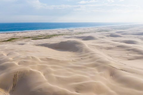 Port Stephens Bush, Beach And Sand Dune 4WD Passenger Tour - Tourism Adelaide 2