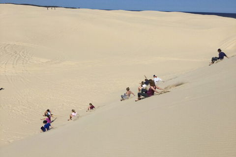 Port Stephens Bush, Beach And Sand Dune 4WD Passenger Tour - Tourism Adelaide 4