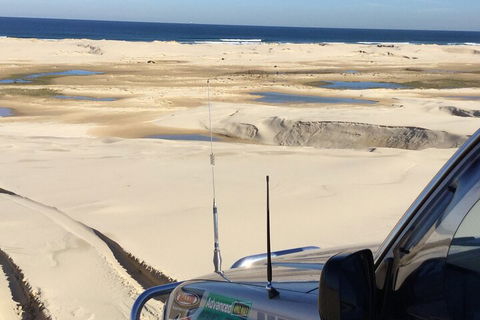 Port Stephens Bush, Beach And Sand Dune 4WD Passenger Tour - Tourism Adelaide 5