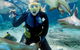 Shark Dive Experience At SEA LIFE Melbourne Aquarium - thumb 0
