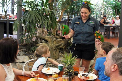 Wildlife Habitat Port Douglas - Tourism Adelaide 2