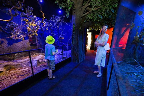 Wildlife Habitat Port Douglas - Tourism Adelaide 4