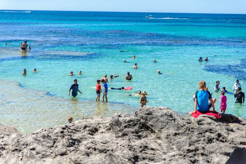 Rottnest Island Roundtrip Fast Ferry From Hillarys Boat Harbour - Tourism Adelaide 1