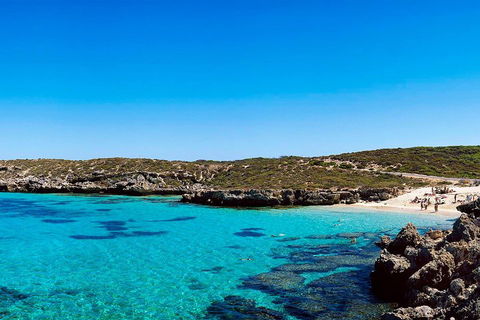 Rottnest Island Roundtrip Fast Ferry From Hillarys Boat Harbour - Tourism Adelaide 4