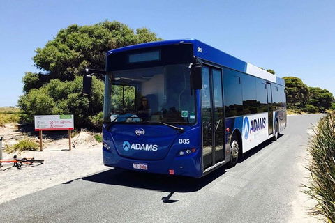 Rottnest Bayseeker Bus Tour From Hillarys Boat Harbour - Tourism Adelaide 0