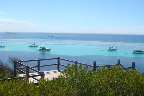 Rottnest Bayseeker Bus Tour From Hillarys Boat Harbour - Tourism Adelaide 3