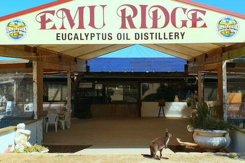 2 Day Ultimate Kangaroo Island With Return Ferry - Tourism Adelaide 3