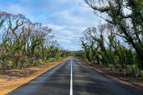 2 Day Ultimate Kangaroo Island With Return Ferry - Tourism Adelaide 4