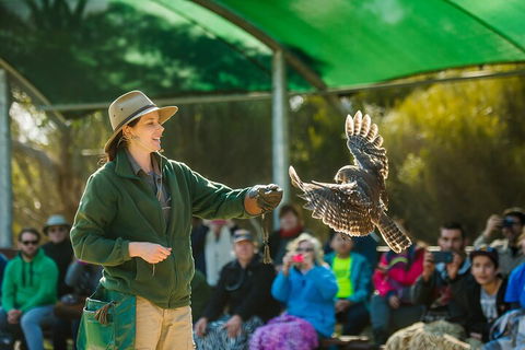 Full Day Kangaroo Island Sip And See Tour Departing From Kangaroo Island - Tourism Adelaide 1