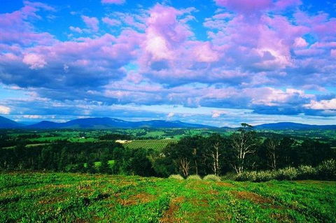 CHEVY CONVERTIBLE Package For 4 -Wine Lunch Cheese & Chocolate From Yarra Valley - Tourism Adelaide 4