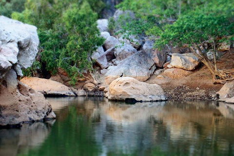 Windjana Gorge And Tunnel Creek 4WD Tour From Broome - Tourism Adelaide 5