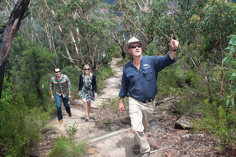 Small-Group Blue Mountains Tour With Bush Walks And Featherdale Wildlife Park - Tourism Adelaide 0