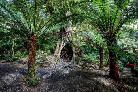 Adelaide To Melbourne 3-Day Trip Through Grampians And Great Ocean Road - Tourism Adelaide 0