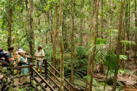 Fraser Explorer K'gari 2-Day Tour - Tourism Adelaide 5
