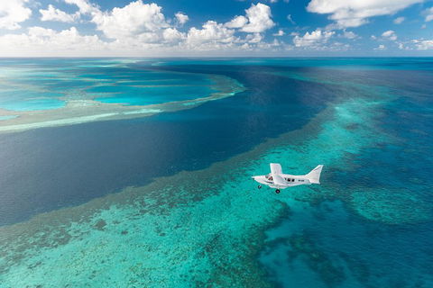 Scenic Flight - Great Barrier Reef, Heart Reef, Whitehaven Beach & Hill Inlet! - Tourism Adelaide 3