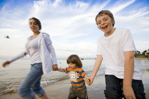 Phillip Island Penguin And Koala Highlights Day-Trip From Melbourne - Tourism Adelaide 0