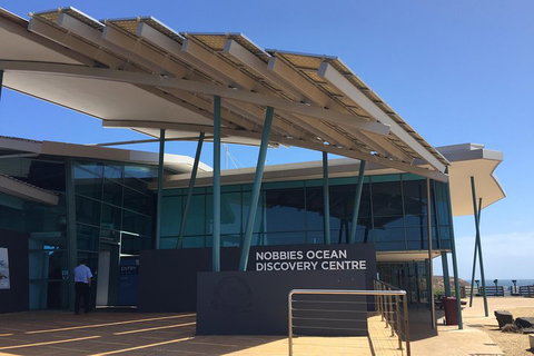 Phillip Island Penguin And Koala Highlights Day-Trip From Melbourne - Tourism Adelaide 1