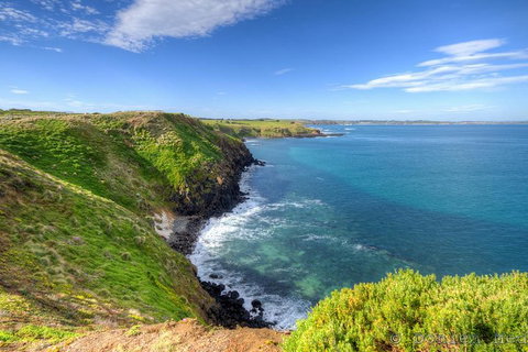 Phillip Island Penguin And Koala Highlights Day-Trip From Melbourne - Tourism Adelaide 5