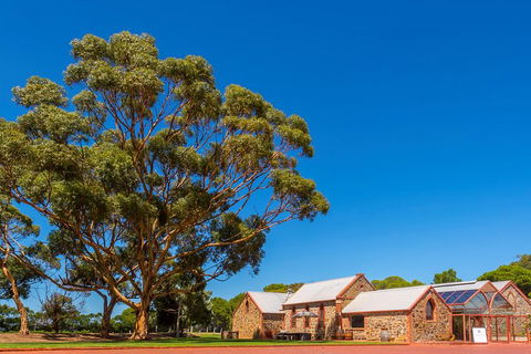 McLaren Vale And Glenelg Wine Tasting And Sightseeing (Half-day Afternoon) - Tourism Adelaide 5