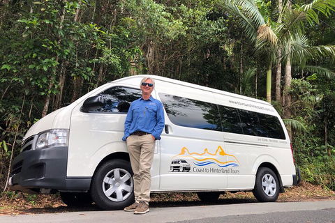 Sunshine Coast Hinterland Rainforest, Views And Montville Day Tour Inc. Lunch - Tourism Adelaide 1