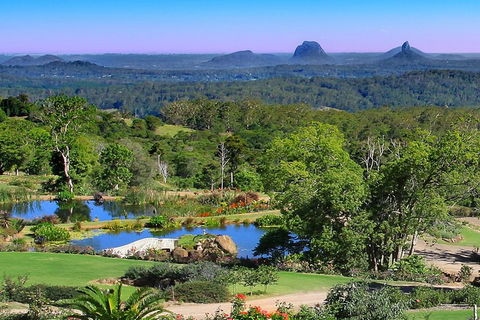 Sunshine Coast Hinterland Rainforest, Views And Montville Day Tour Inc. Lunch - Tourism Adelaide 5