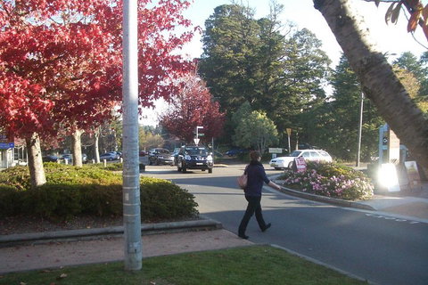 PRIVATE All-Day Blue Mountains Tour With Professional Guide For Up To 4 People - Tourism Adelaide 1
