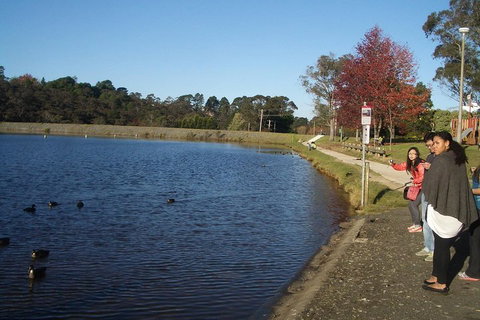 PRIVATE All-Day Blue Mountains Tour With Professional Guide For Up To 4 People - Tourism Adelaide 2