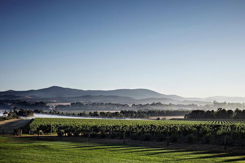 Chauffeur Driven Yarra Valley Group Wine Tour - Up To 7 - Tourism Adelaide 2